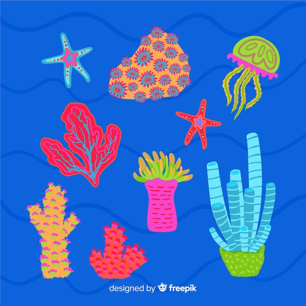 Hand drawn coral collection