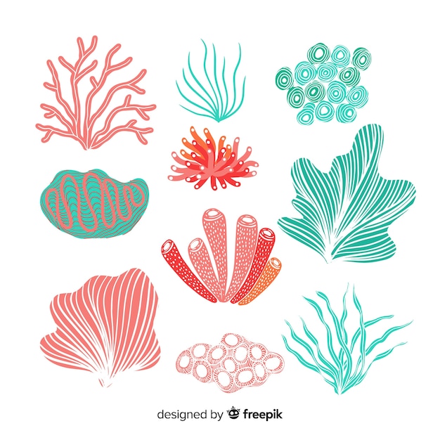 Free vector hand drawn coral collection