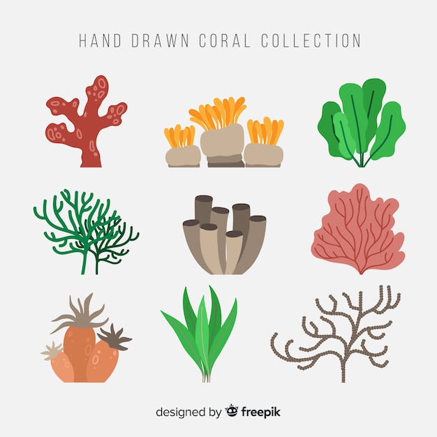 Hand drawn coral collection