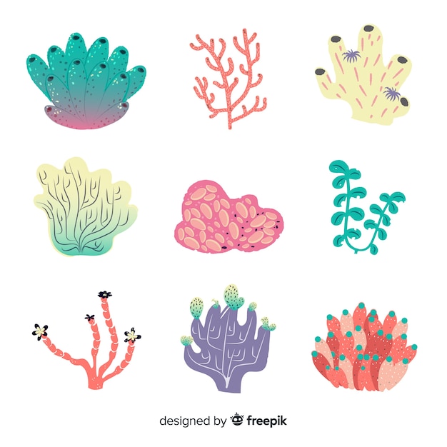 Hand drawn coral collection