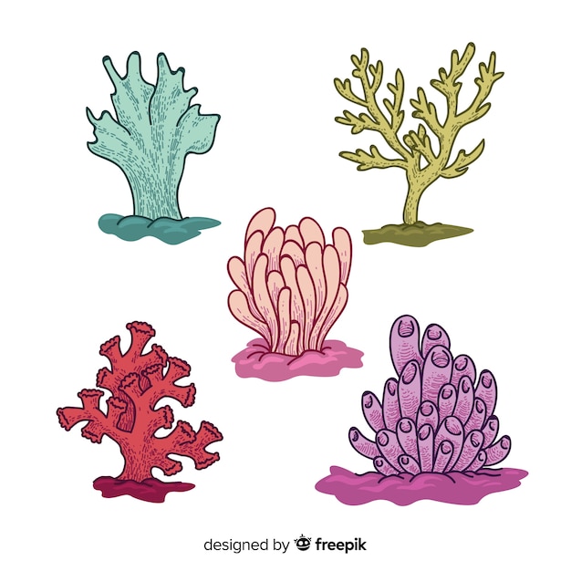 Free vector hand drawn coral collection