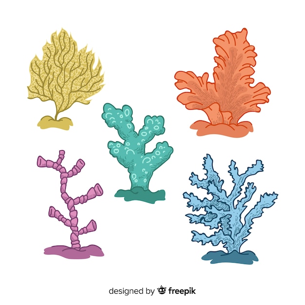 Free vector hand drawn coral collection