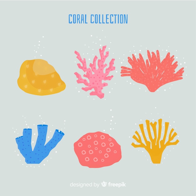 Hand drawn coral collection