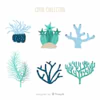 Free vector hand drawn coral collection