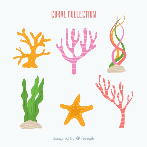 Hand drawn coral collection