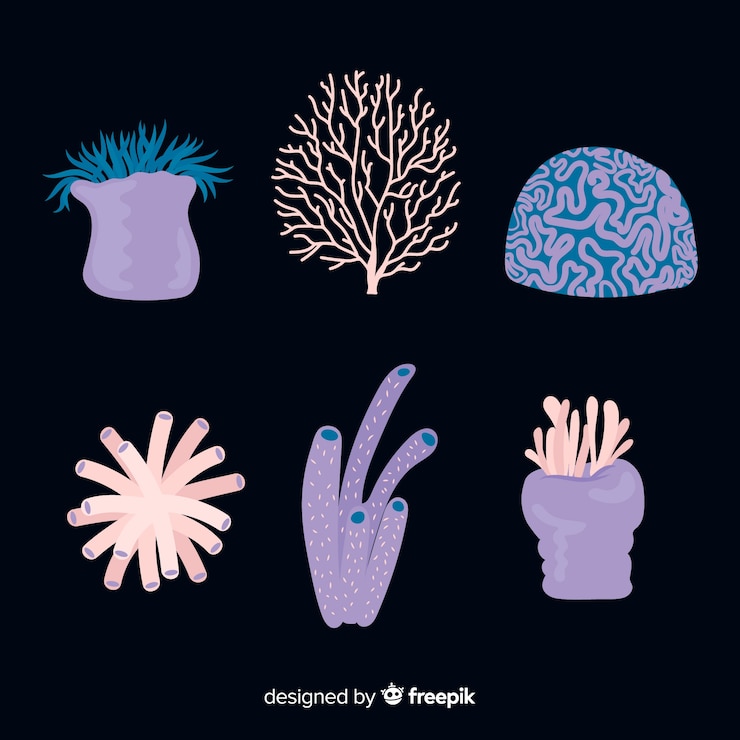Free Vector hand drawn coral collection
