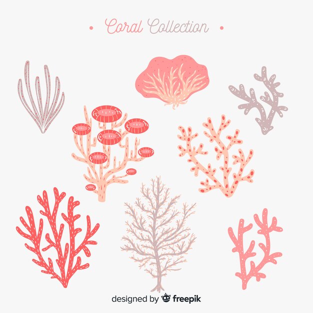 Коллекция рисованной кораллов