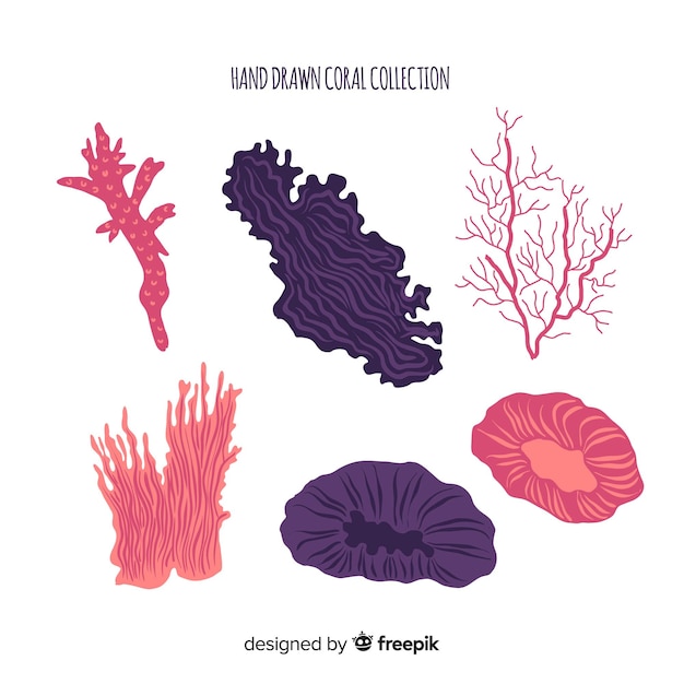 Hand drawn coral collection