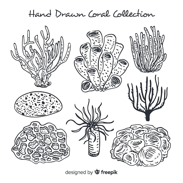 Free vector hand drawn coral collection