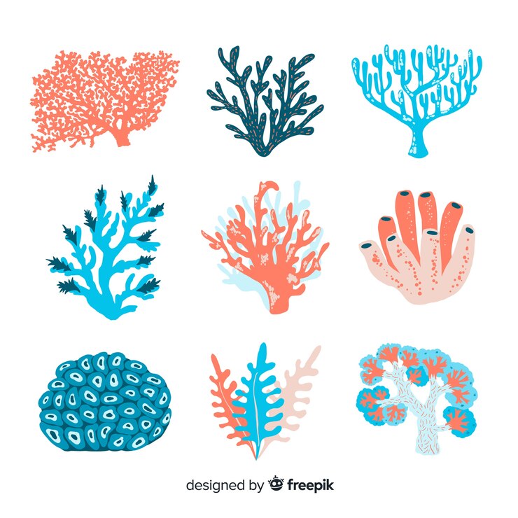 Free Vector hand drawn coral collection