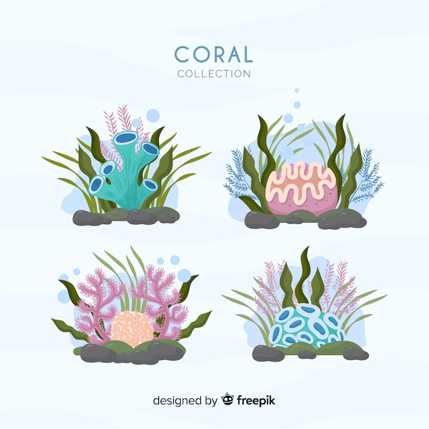 Hand drawn coral collection