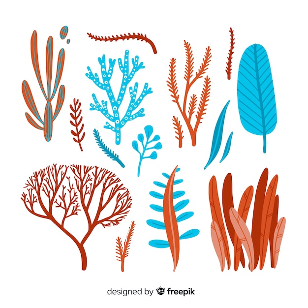 Free vector hand drawn coral collection