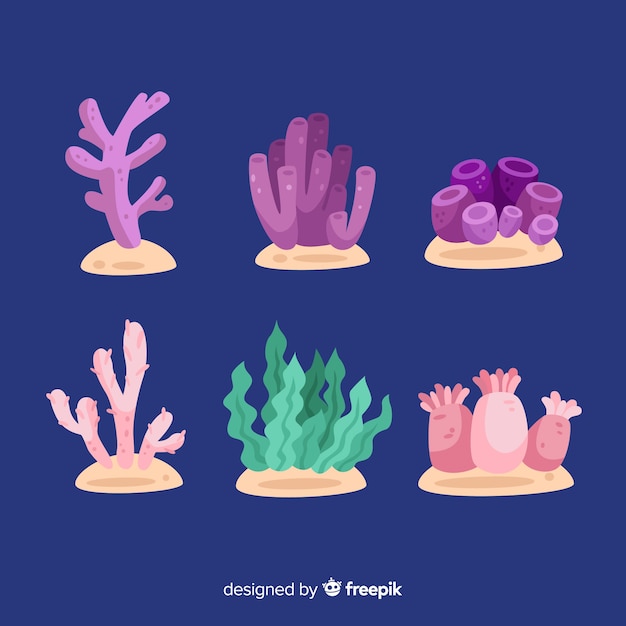 Free vector hand drawn coral collection