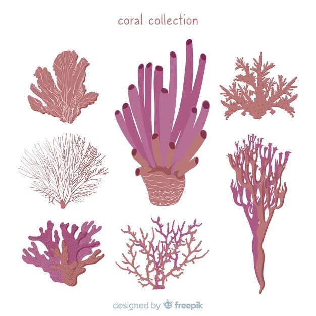 Коллекция рисованной кораллов