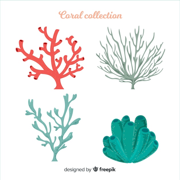 Hand drawn coral collection