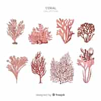 Free vector hand drawn coral collection