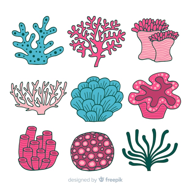 Hand drawn coral collection