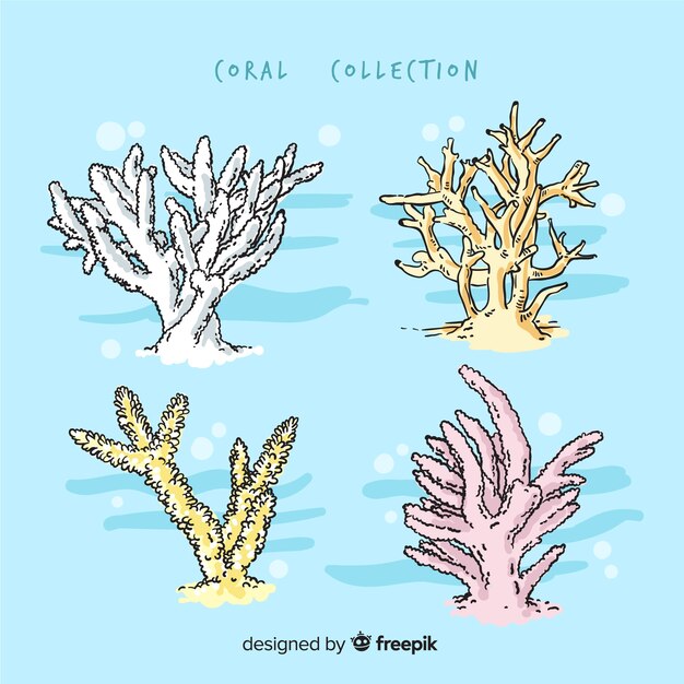 Hand drawn coral collection