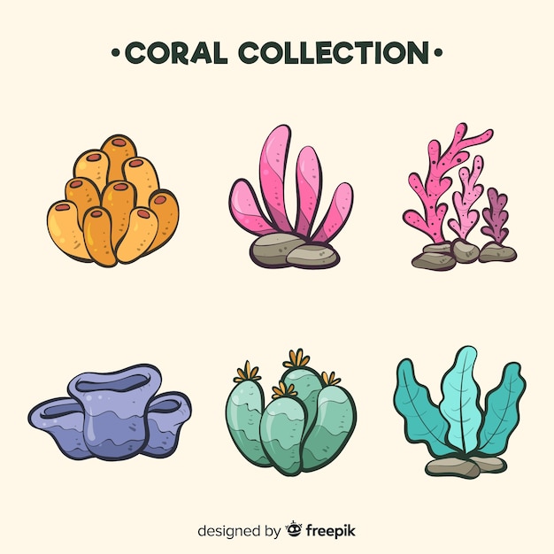 Hand drawn coral collection