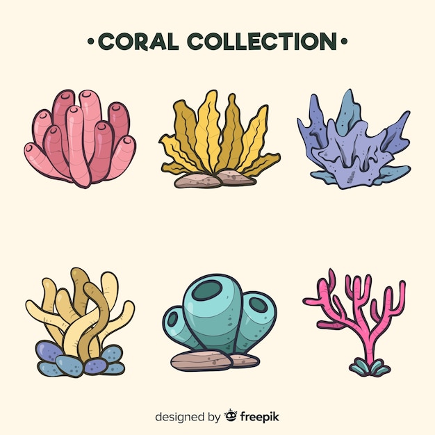 Free vector hand drawn coral collection