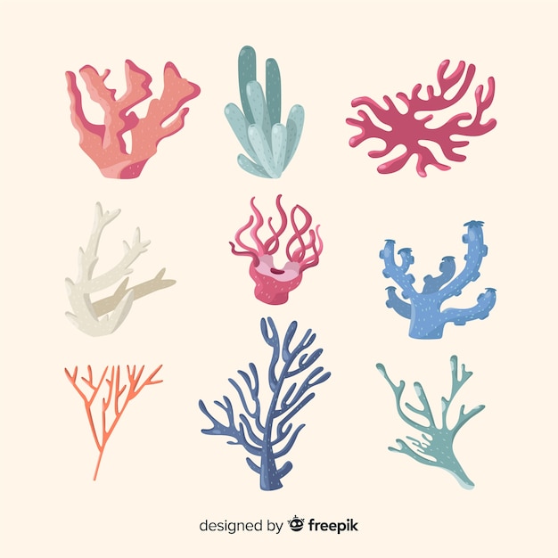 Free vector hand drawn coral collection