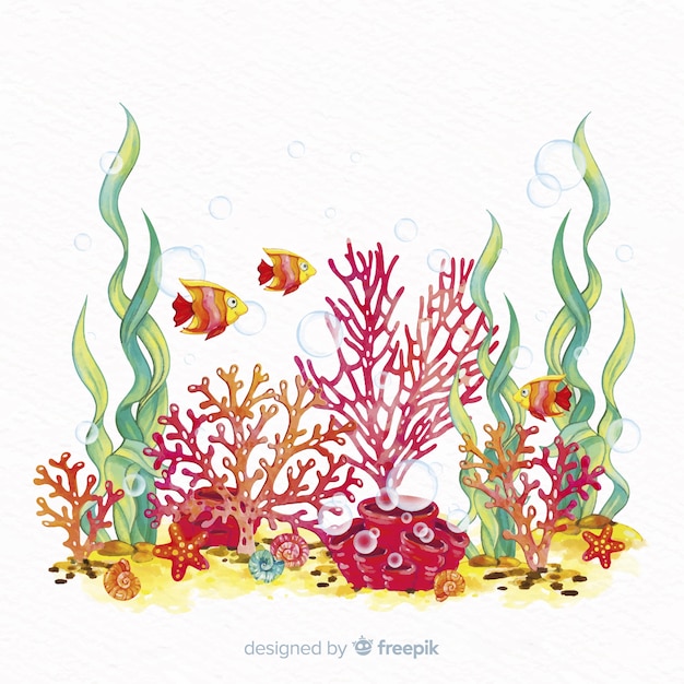 Hand drawn coral illustration