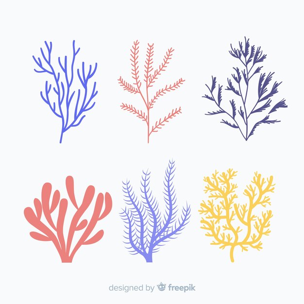 손으로 그린 산호 팩