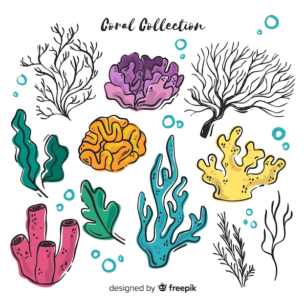 Free vector hand drawn coral pack