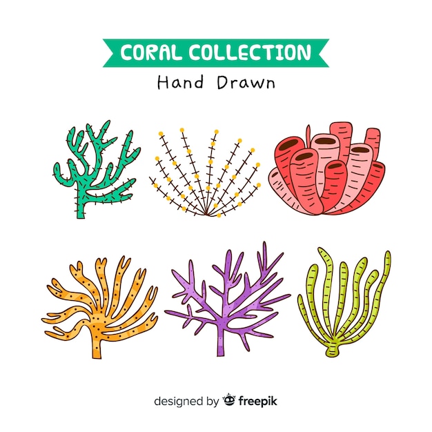 Vettore gratuito confezione di corallo disegnata a mano