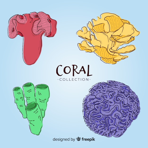 Hand drawn coral pack