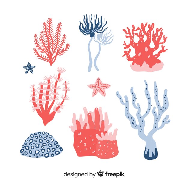 hand drawn coral pack