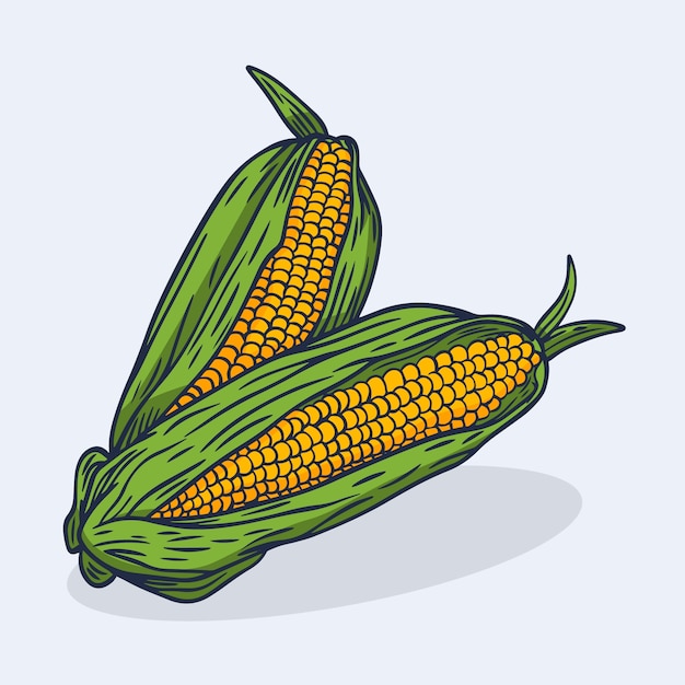 Free vector hand drawn corn on the cob drawing illustration