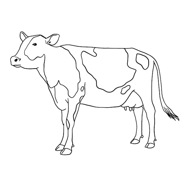 Vettore gratuito illustrazione del profilo della mucca disegnata a mano