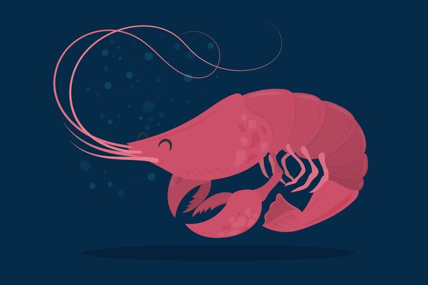 Hand drawn crawfish illustration