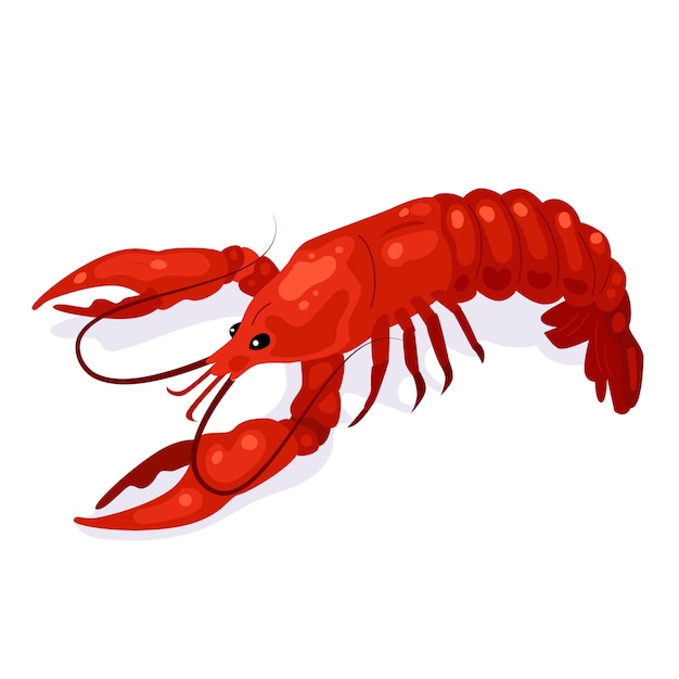 Free vector hand drawn crawfish illustration