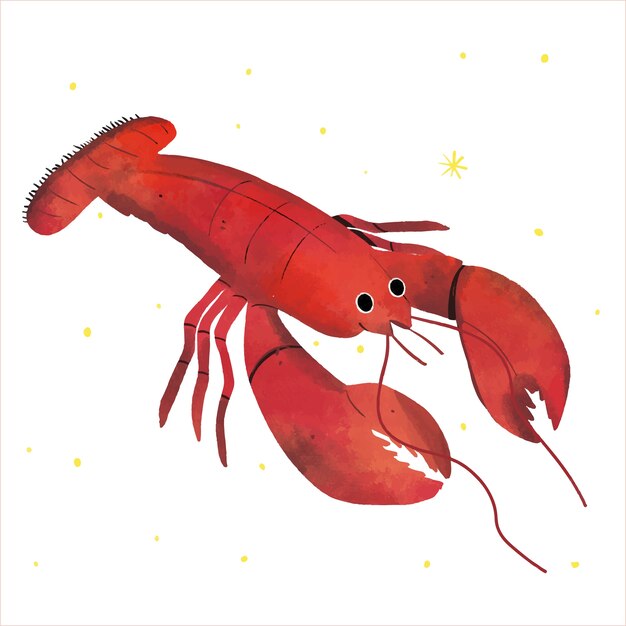 Hand drawn crawfish illustration