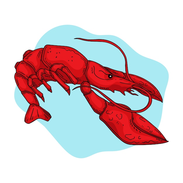 Free vector hand drawn crawfish illustration