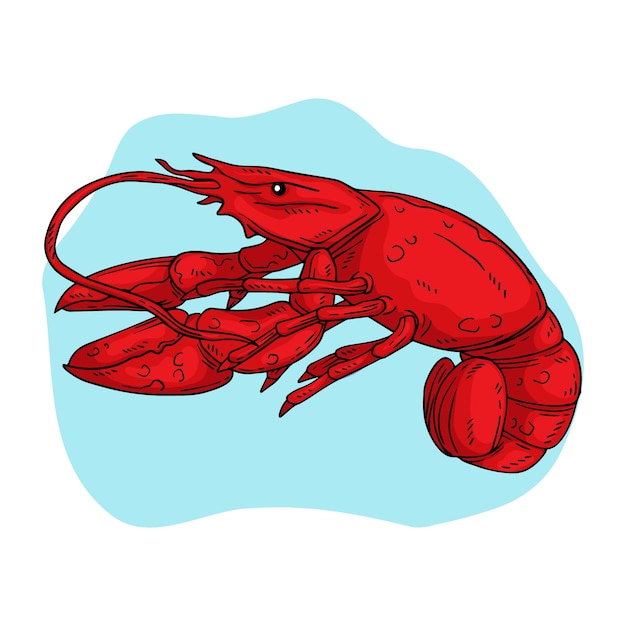 Free vector hand drawn crawfish illustration