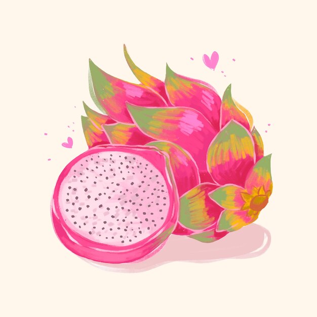 Hand drawn crayon dragonfruit illustration