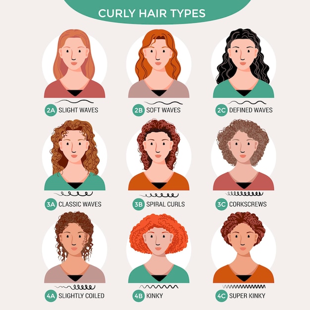 Free vector hand drawn curly hair types set