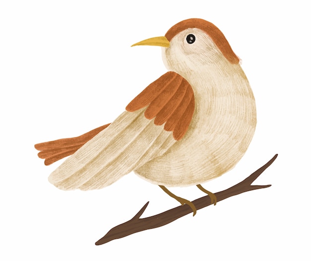 Hand-drawn cute brown sparrow on a tree branch