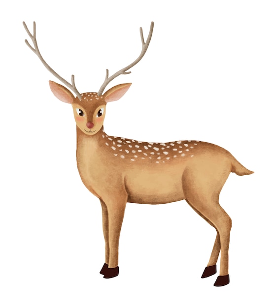 Hand-drawn cute fallow deer