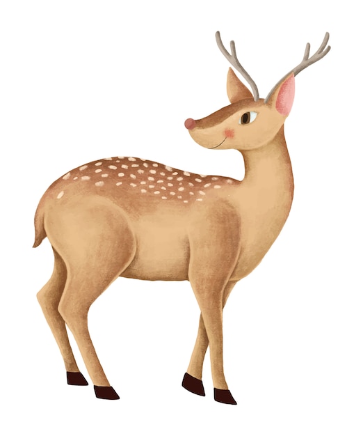 Free vector hand-drawn cute fallow deer
