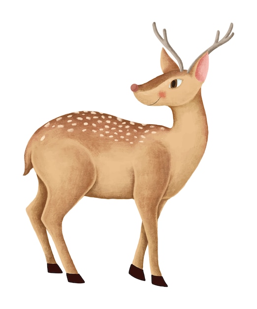 Hand-drawn cute fallow deer