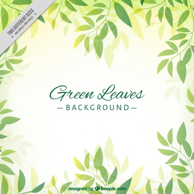 Free vector hand drawn cute green leaves background