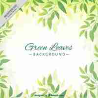Free vector hand drawn cute green leaves background