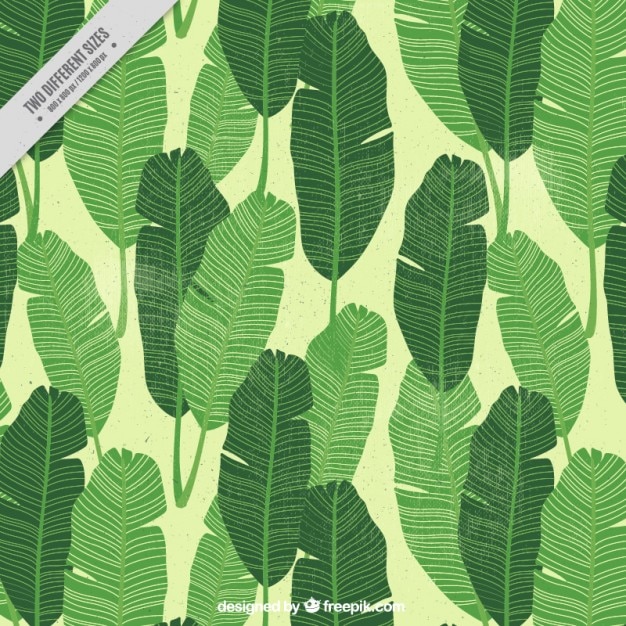 Free vector hand drawn cute palm leaves background