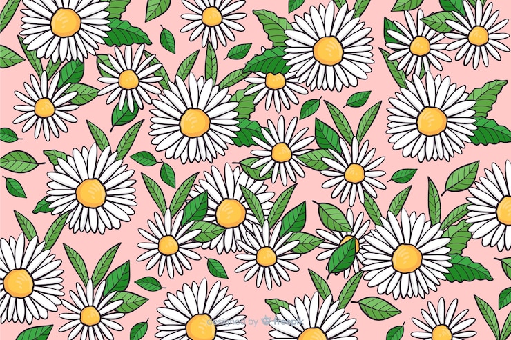 Free Vector hand drawn daisies background