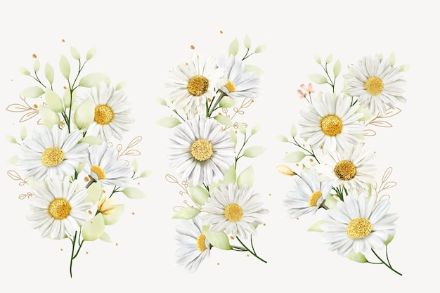 hand drawn daisy floral bouquet background design