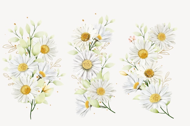 手描きのデイジーの花の花束の背景デザイン